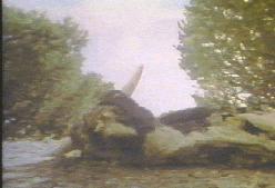 CE_1979-07-00USACOWalsenberg